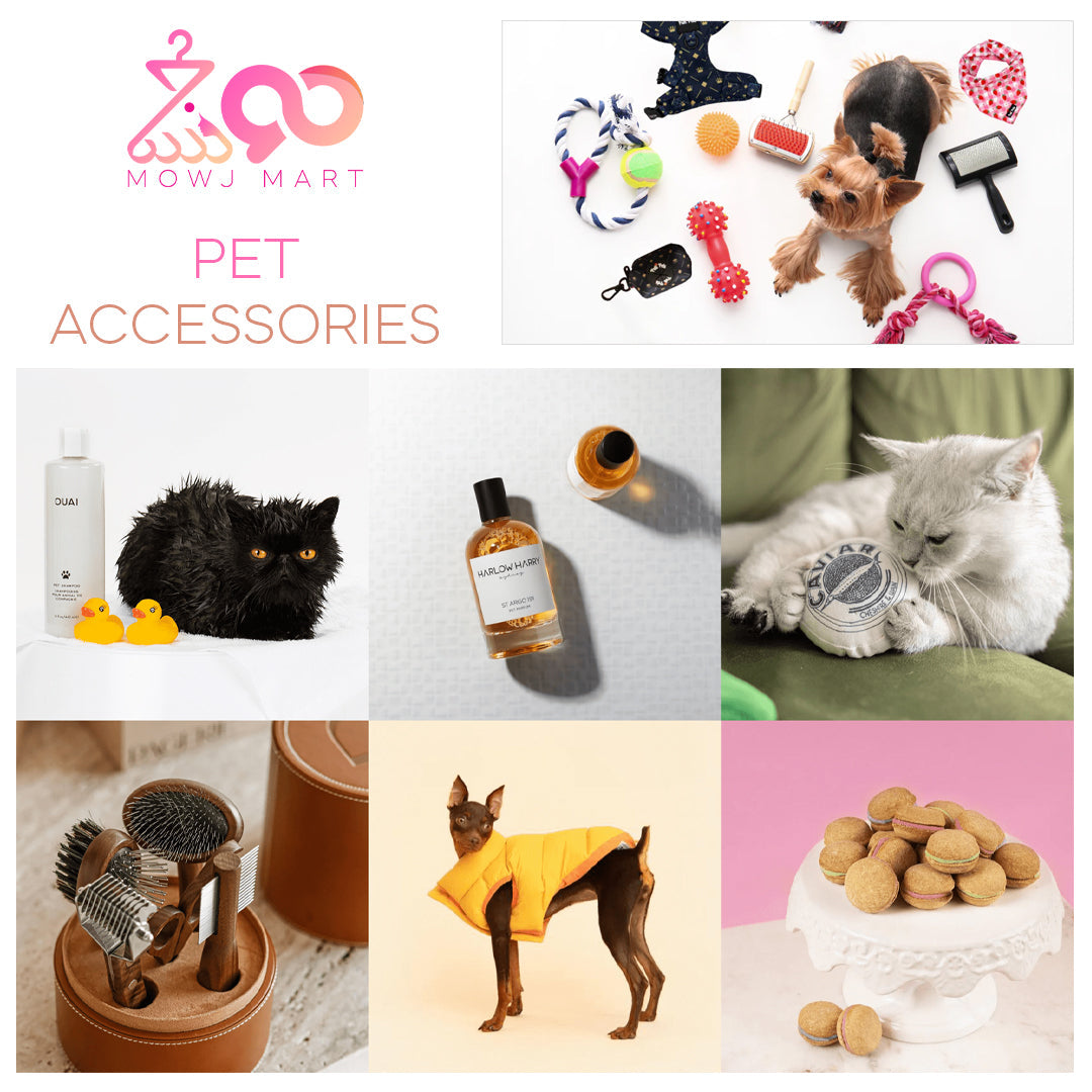 Pet Accessories